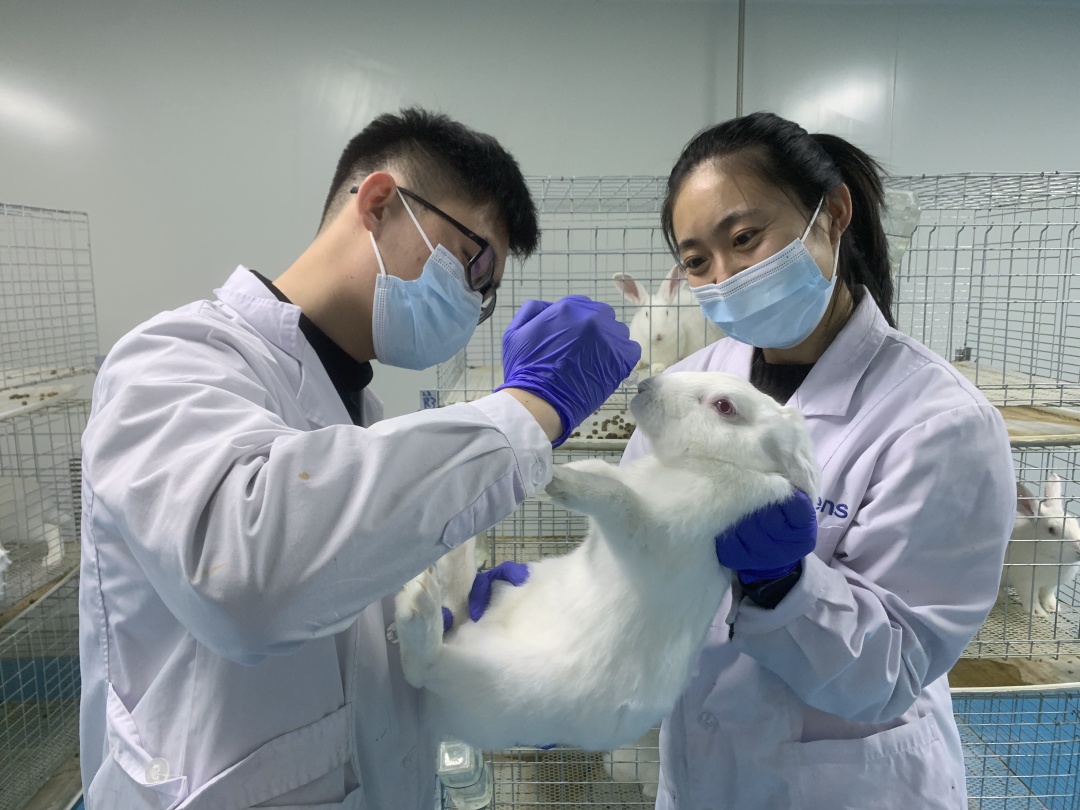 喷鼻疫苗动物实验 喷鼻疫苗动物实验