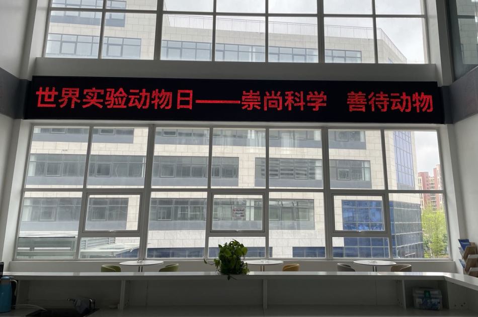 世界实验动物日 世界实验动物日