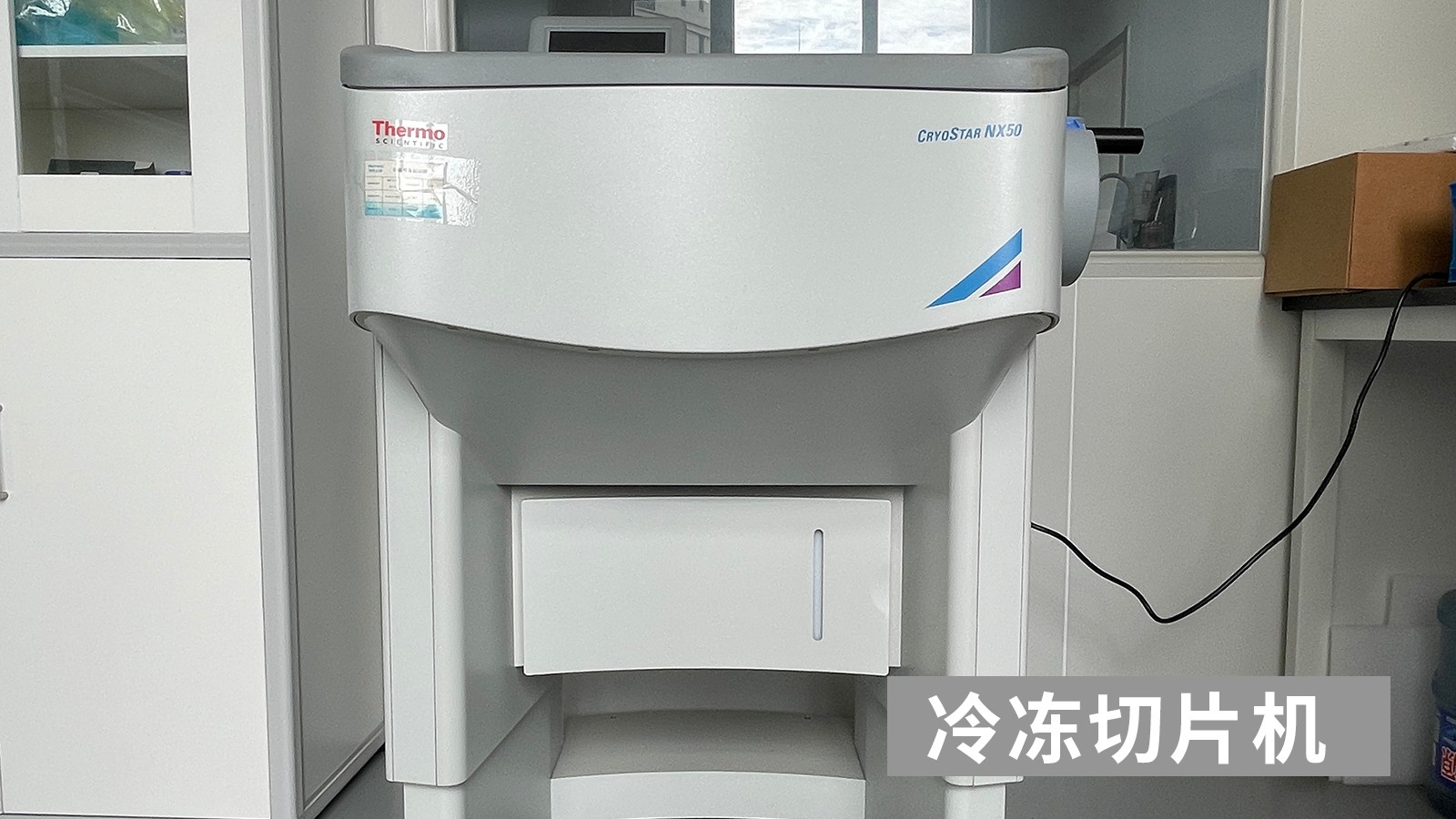 j9九游会生物