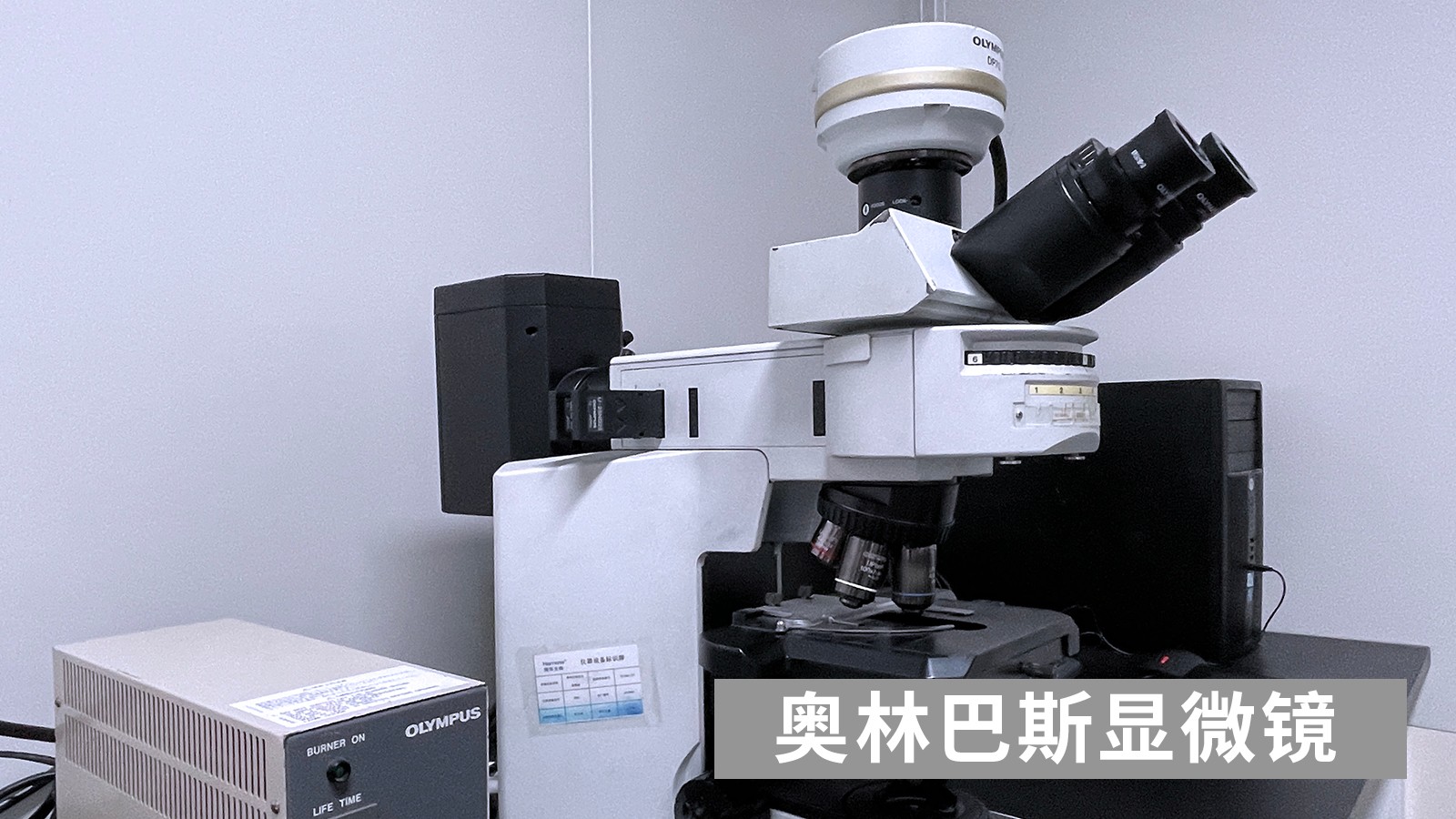 j9九游会生物