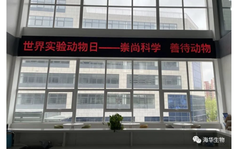 世界实验动物日——崇尚科学 善待动物