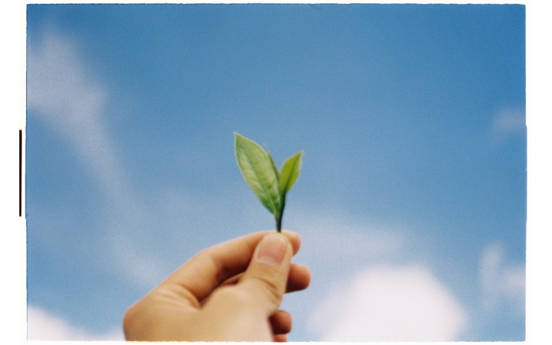 迎世界认可日，九游会·(j9)官方网站-真人游戏第一品牌做“诚质信”承诺