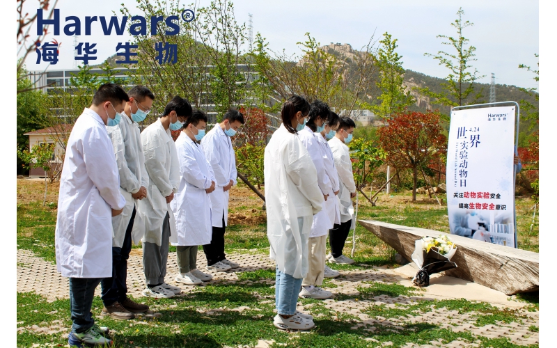 4.24 世界实验动物日｜致敬“无名”英雄 感谢“医路”有你
